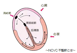 藤野 修先生