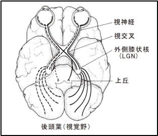 103iߘa6N11j