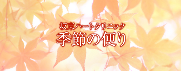 藍色の風TOP写真集