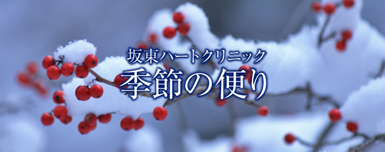 ���F�̕�TOP�ʐ^�W